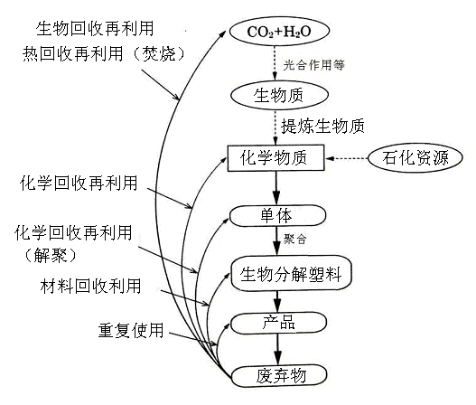 生物分解塑料的回收再利用技术-生物降解环保塑(图1)